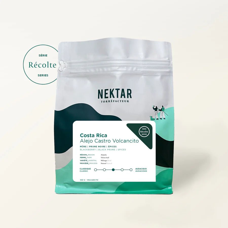 Café NEKTAR - Costa Rica - Alejo Castro Volcancito - Mousse Café coop de solidarité