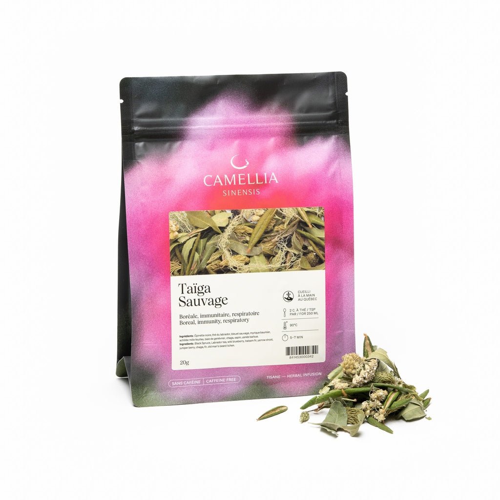 CAMELLIA SINENSIS - LA TAÏGA SAUVAGE (20g) - Mousse Café coop de solidarité