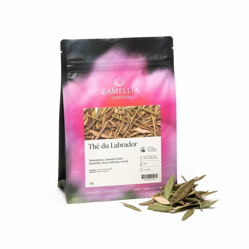 CAMELLIA SINENSIS - Thé du Labrador (sac de 25g) - Mousse Café coop de solidarité