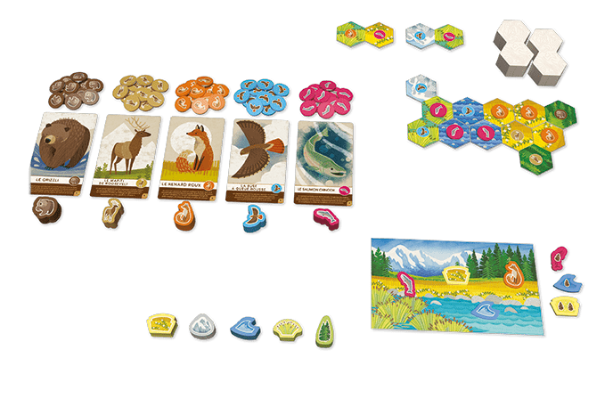 Cascadia : Junior (fr) - Mousse Café coop de solidarité