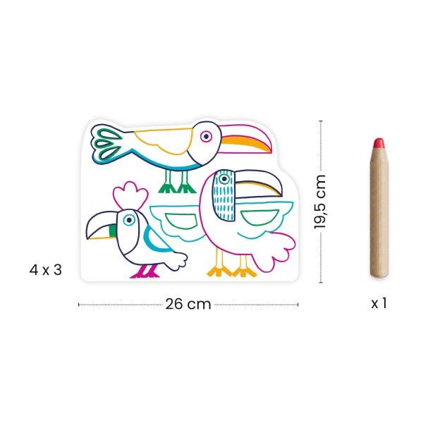 Coloriage - Familles sauvages - Mousse Café coop de solidarité