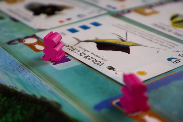 Finspan (français) - Mousse Café coop de solidarité