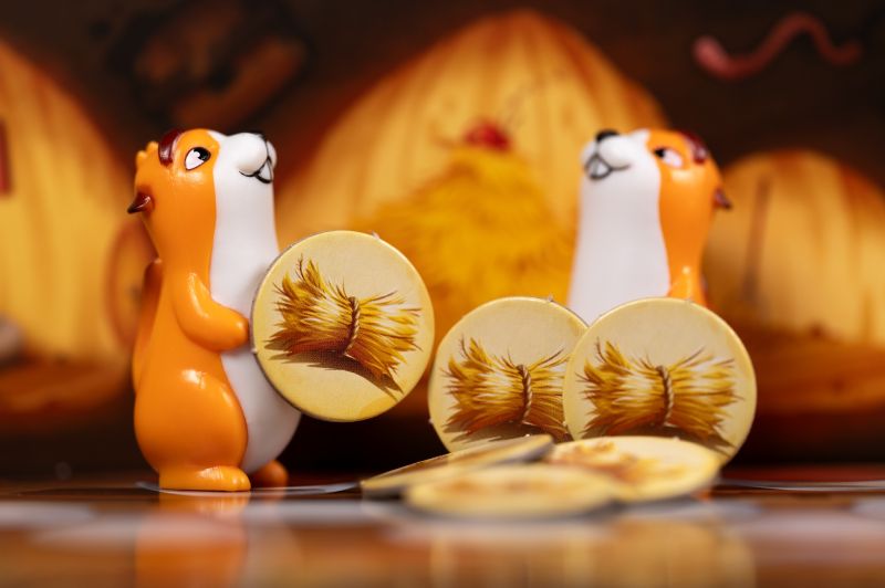 Fluffy Valley (fr/en) - Mousse Café coop de solidarité