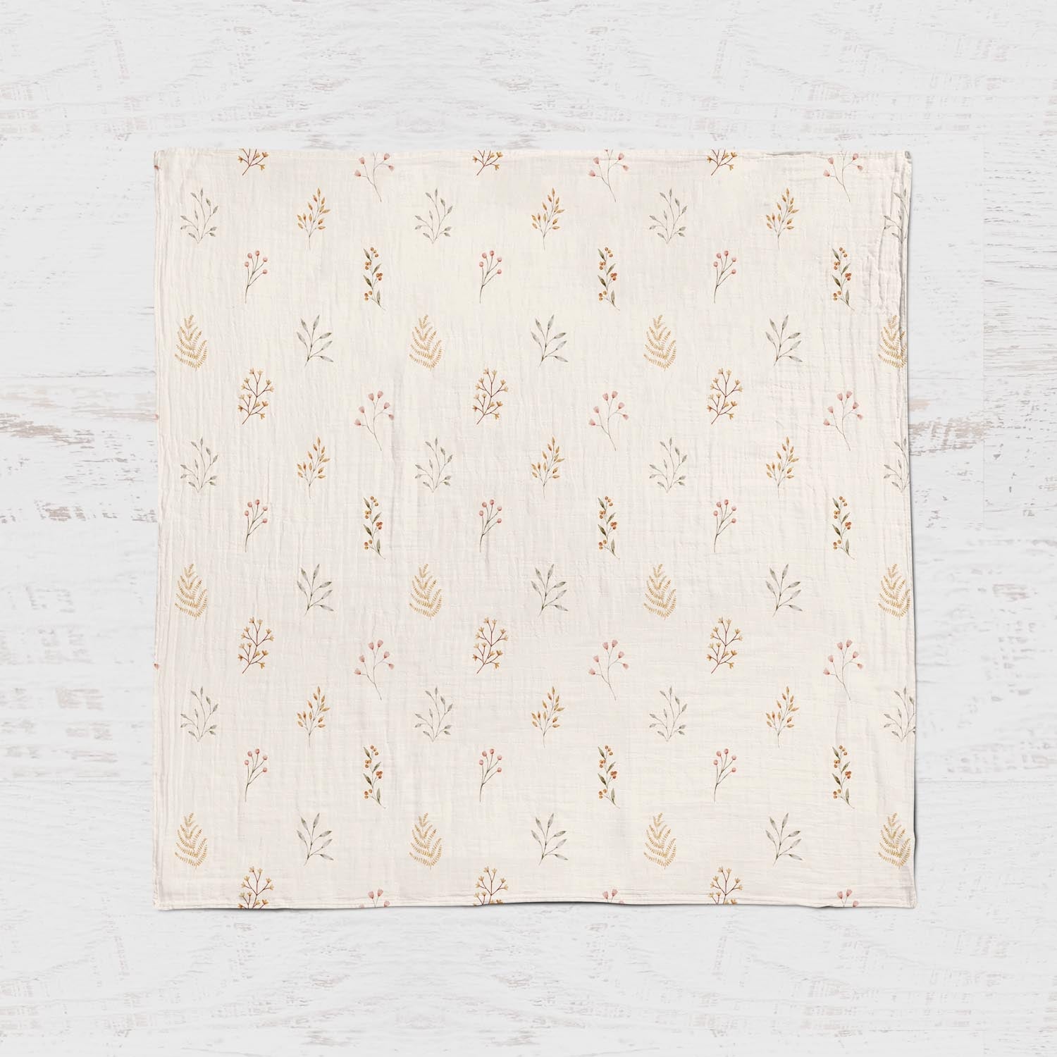 Mousseline - Bouton de champ - Mousse Café coop de solidarité