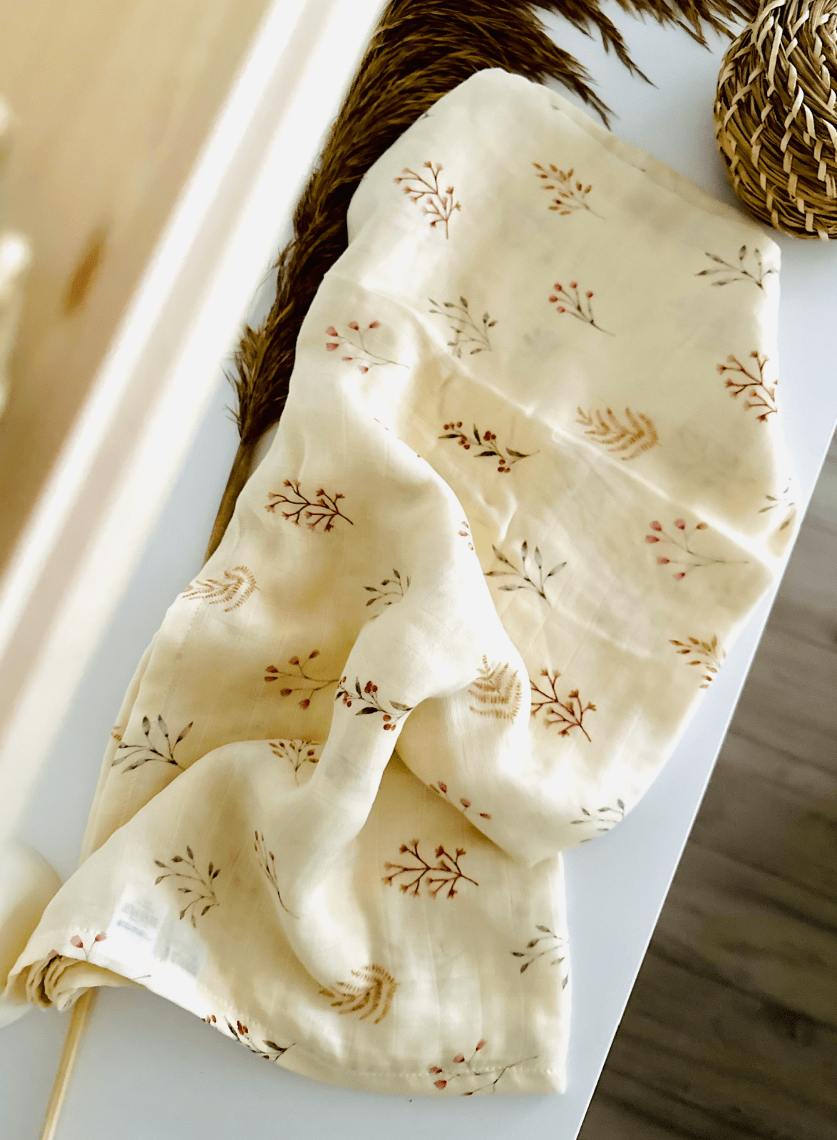 Mousseline - Bouton de champ - Mousse Café coop de solidarité