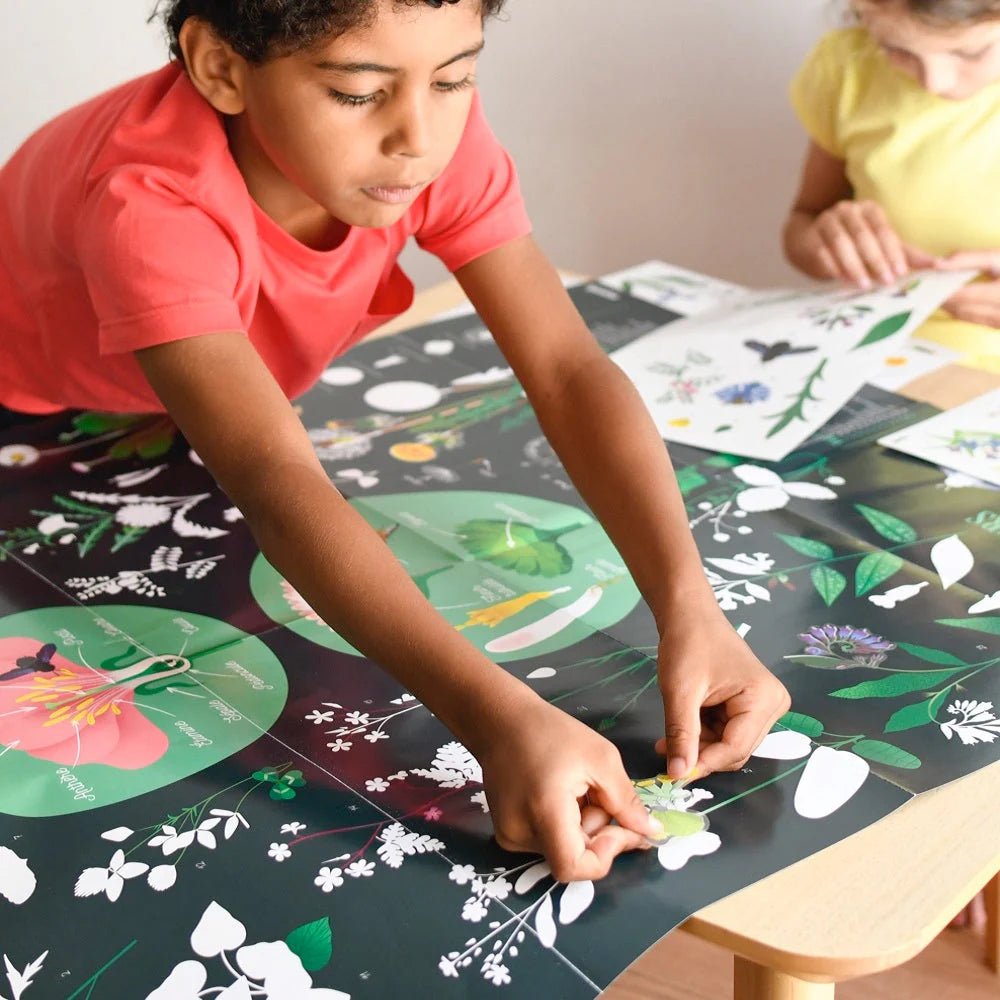 POPPIK - Botanique - Mousse Café coop de solidarité