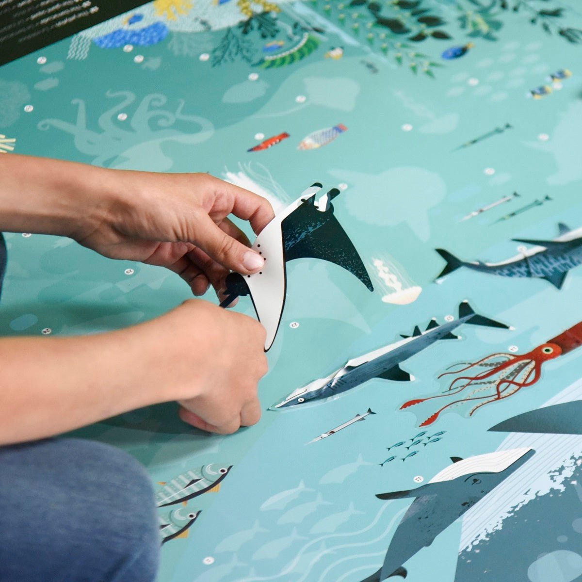 POPPIK - Poster Océans - Mousse Café coop de solidarité