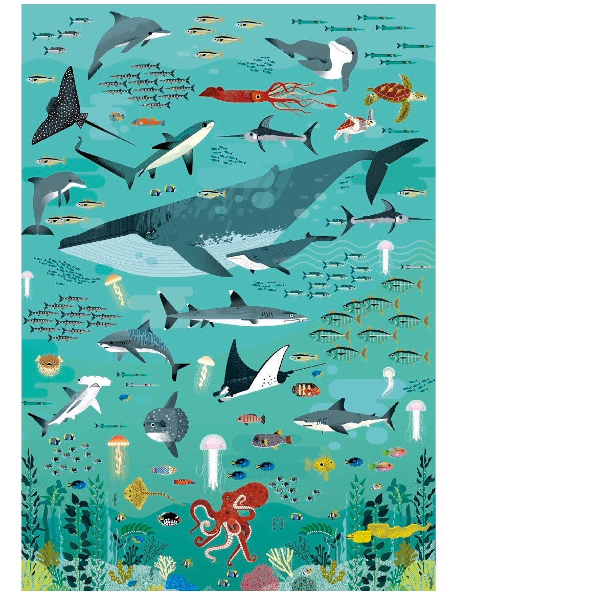 POPPIK - Puzzle 500 Pièces Animaux Marins - Mousse Café coop de solidarité