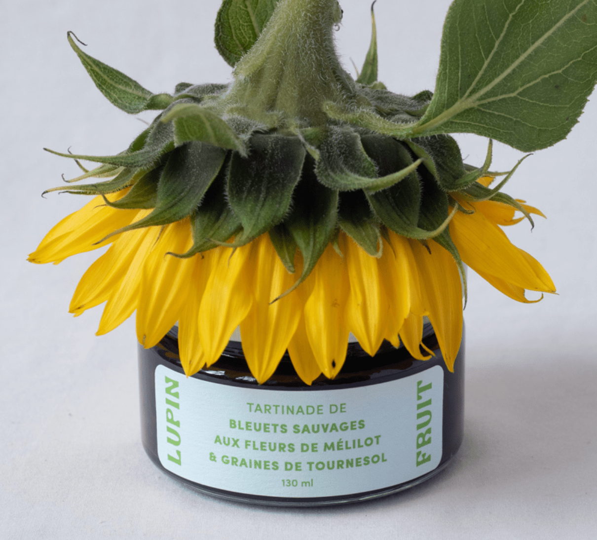 Tartinade de bleuets sauvages aux fleurs de mélilot & graines de tournesol - Mousse Café coop de solidarité