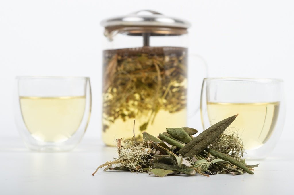 CAMELLIA SINENSIS - LA TAÏGA SAUVAGE (20g) - Mousse Café coop de solidarité