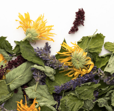 CAMELLIA SINENSIS - L'APAISANTTE BIOLOGIQUE (20g) - Mousse Café coop de solidarité