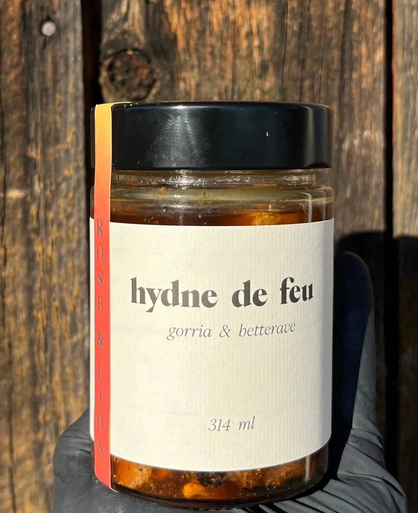 Champignons marinées : Hydne de feu - Mousse Café coop de solidarité