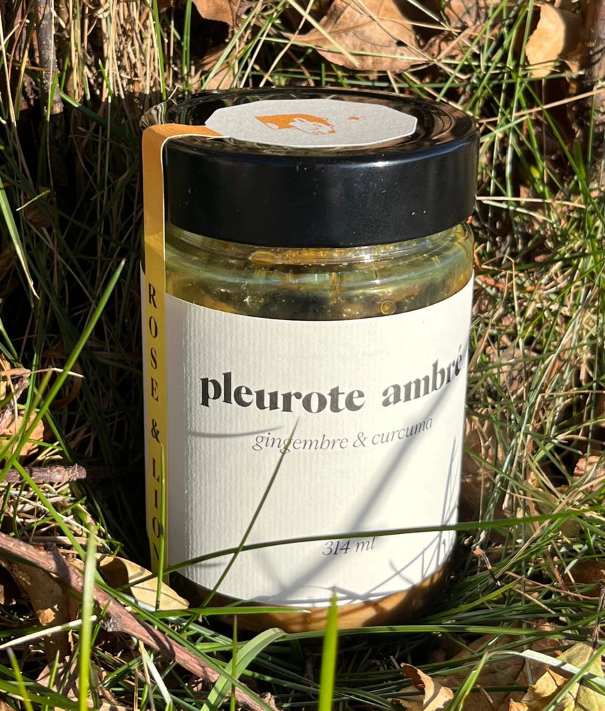 Champignons marinées : Pleurote ambré - Mousse Café coop de solidarité