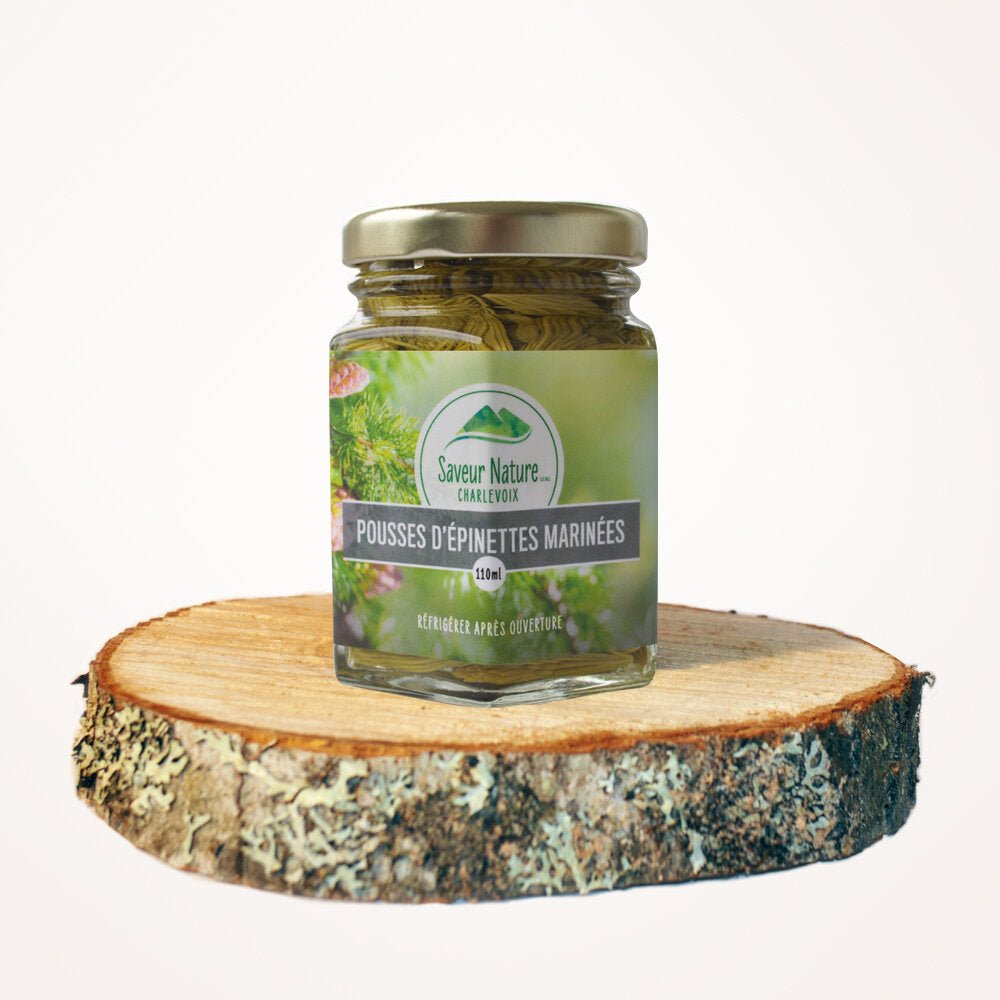 Pousses d’épinettes marinées - Mousse Café coop de solidarité