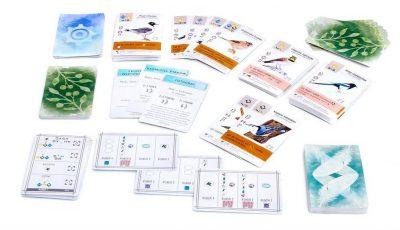 Wingspan (français) - Mousse Café coop de solidarité